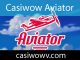 Casiwow aviator oyununu güvenle servis etmektedir.