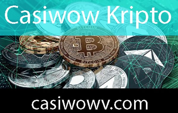 casiwow-kripto Casiwow kripto ödemesiyle dikkat çeken düzeydedir.